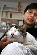 文怡